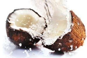 Read more about the article Bí mật bên trong trái dừa?